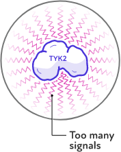Illustration of TYK2 passing on too many inflammatory signals